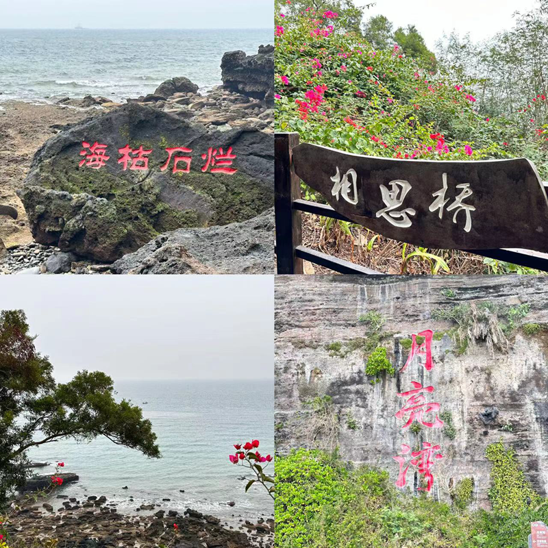 ?？菔癄€.png